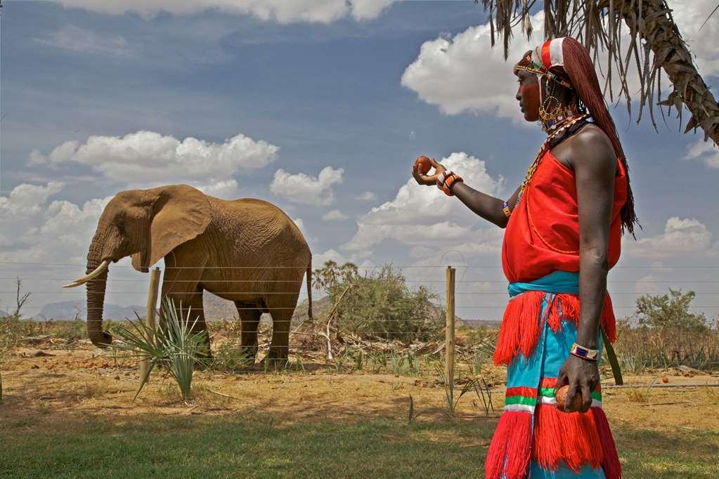 Samburu 阿西尼尔山布鲁营地酒店 设施 照片