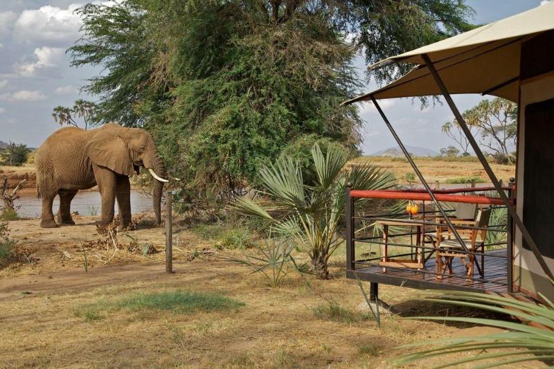 Samburu 阿西尼尔山布鲁营地酒店 外观 照片